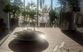 Penthouse de Lux cu 5 Camere | Vedere libera spre Herăstrău - Poză 5