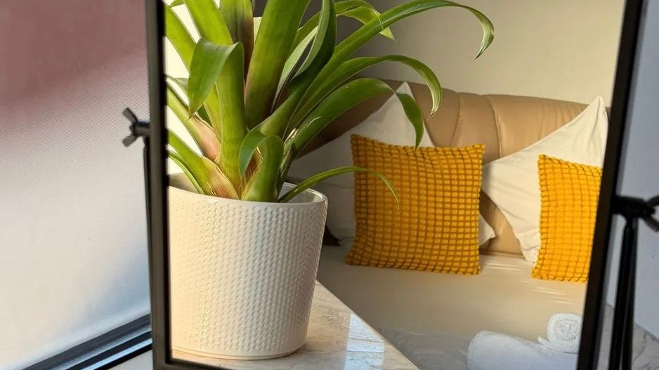 Penthouse Ultracentral de vanzare Timpuri Noi - Poză 4