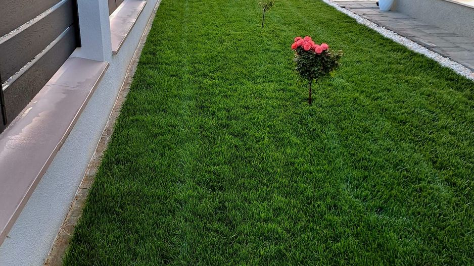 Comisiom 0% Vila 2022  teren 1000 mp Ciorogarla - Poză 42