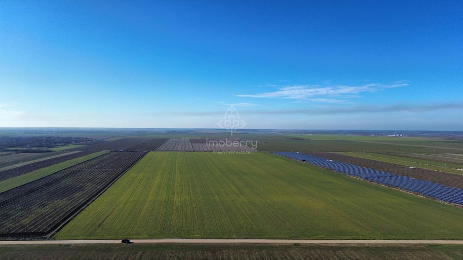 Vând teren extravilan – 11 ha, sat Valter Mărăcineanu, jud Giurgiu - Poză 2