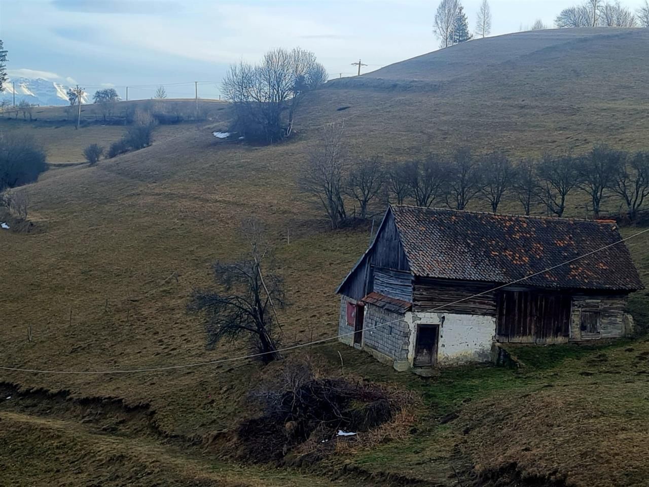 Oaza de liniste si frumusete, reconectare cu natura, 16.000 mp, Poiana Marului - Poză 7