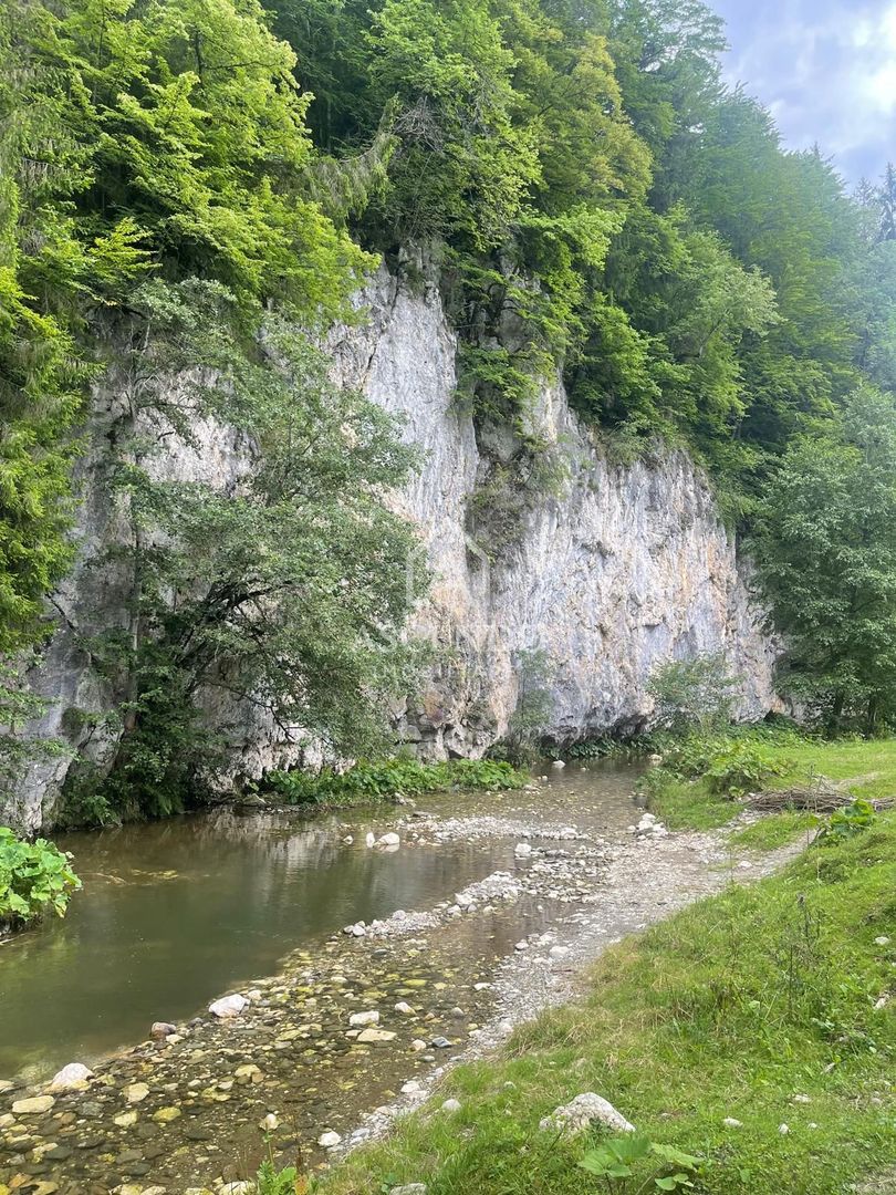Teren pentru investiție turistică în Dâmbovicioara – Baranga | 4.500 mp | Front ~102 ml - Poză 18