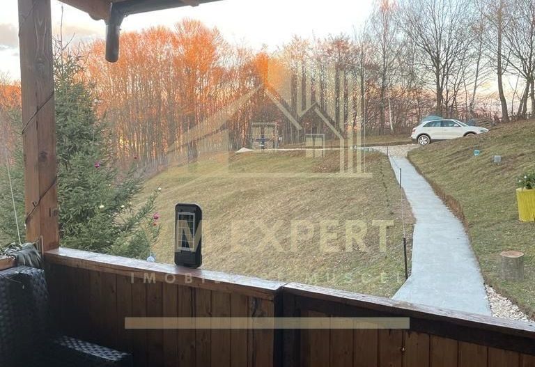 CASA 3 CAMERE, TEREN 3100 MP, ALBESTI DE MUSCEL, ARGES - Poză 21