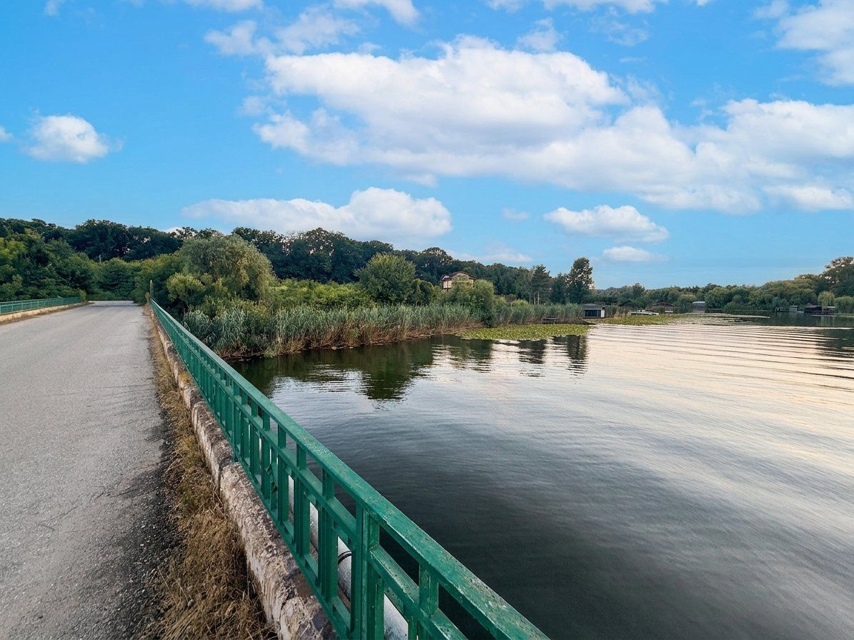 Teren în Snagov, intre Lac și Pădure - Poză 6