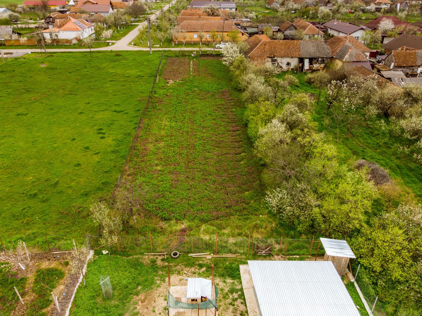 Teren de 1316mp în Frumușeni. - Poză 16