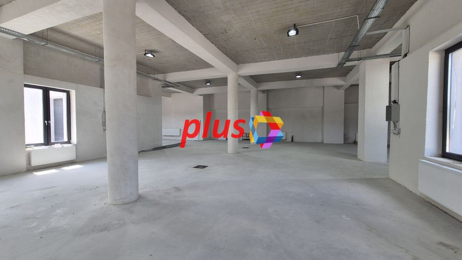Spatiu industrial- 1240 mp  # plus-imo.ro - Poză 13