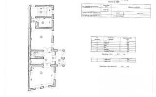 Vila spatioasa | Complet renovată | Central - Poză 33