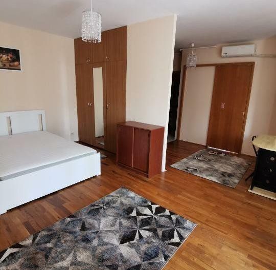 Garsonieră spațioasă de 50 mp, ultracentrală, renovată, Bd. Unirii - Poză 4