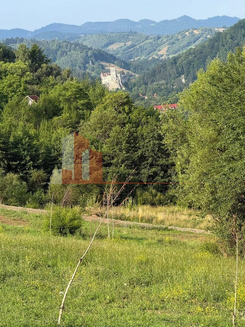 Parcele 1000 mp Sohodol - Poză 12