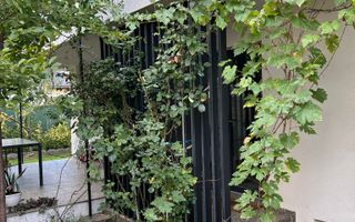 Vila de vanzare in Tunari I Gata de mutat I 4 camere I 5 parcari - Poză 34