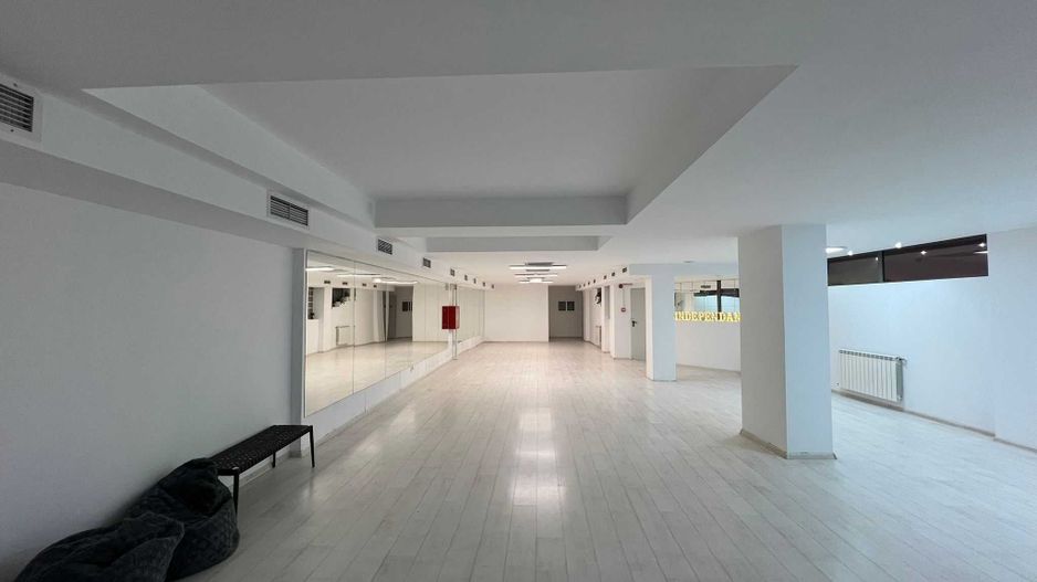 220 m2- studio dans de închiriat Sector 4, București - Poză 1