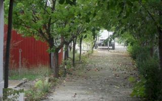 Casa Vacanta Izvorani - Poză 3