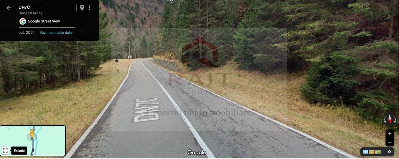 TEREN EXTRAVILAN PADURE PISCUL NEGRU ARGES - Poză 2