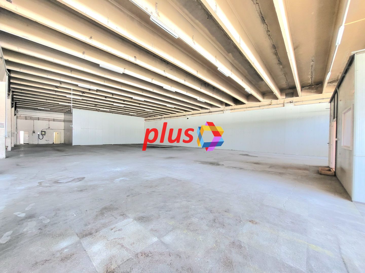 Spatiu industrial - 1229 mp  # plus-imo.ro - Poză 4