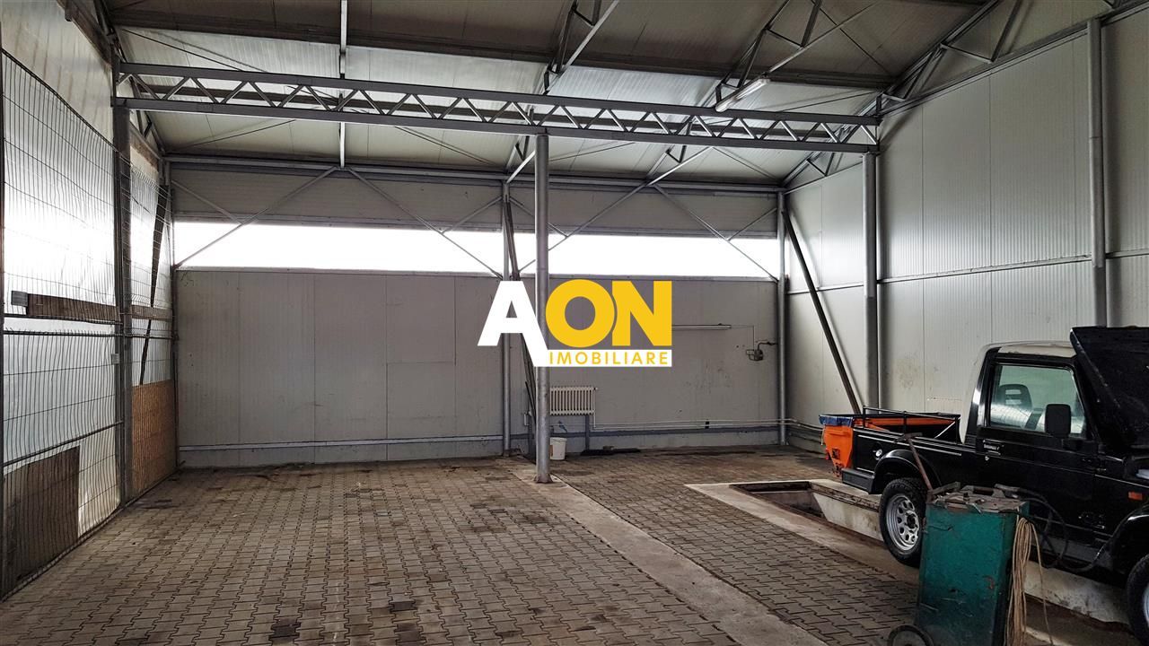 Spațiu de Birouri și Comercial, 800mp + Hală 500mp, Parcare Privată - Poză 33