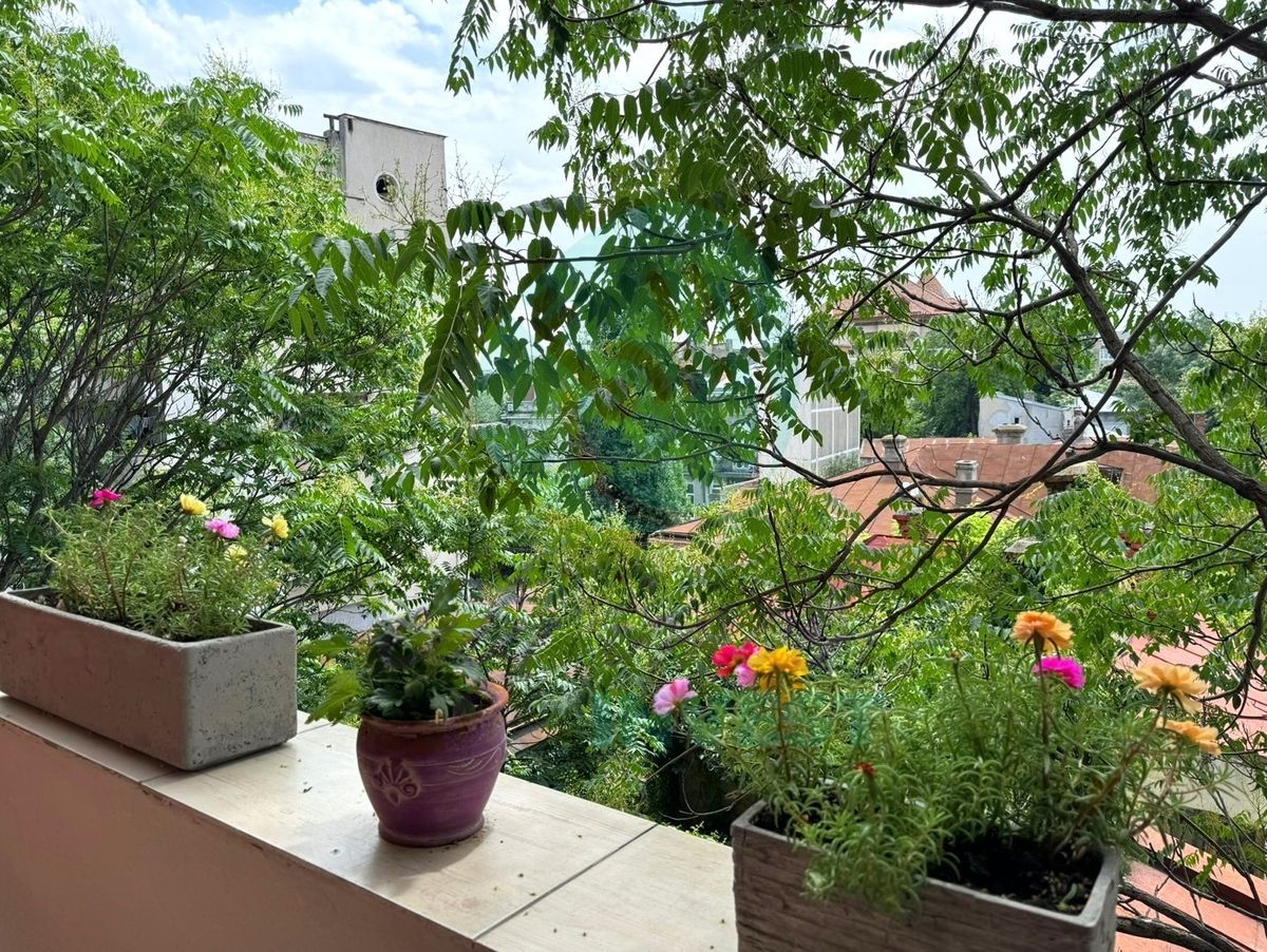 Apartament boem cu mult soare Piata Sfantul Stefan - Poză 7