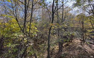 TEREN INTRAVILAN 13167 MP BUGHEA DE SUS ARGES - Poză 29