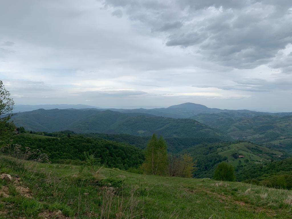 Teren extravilan 2ha, priveliste panoramica spre munti /Poiana Marului - Poză 7