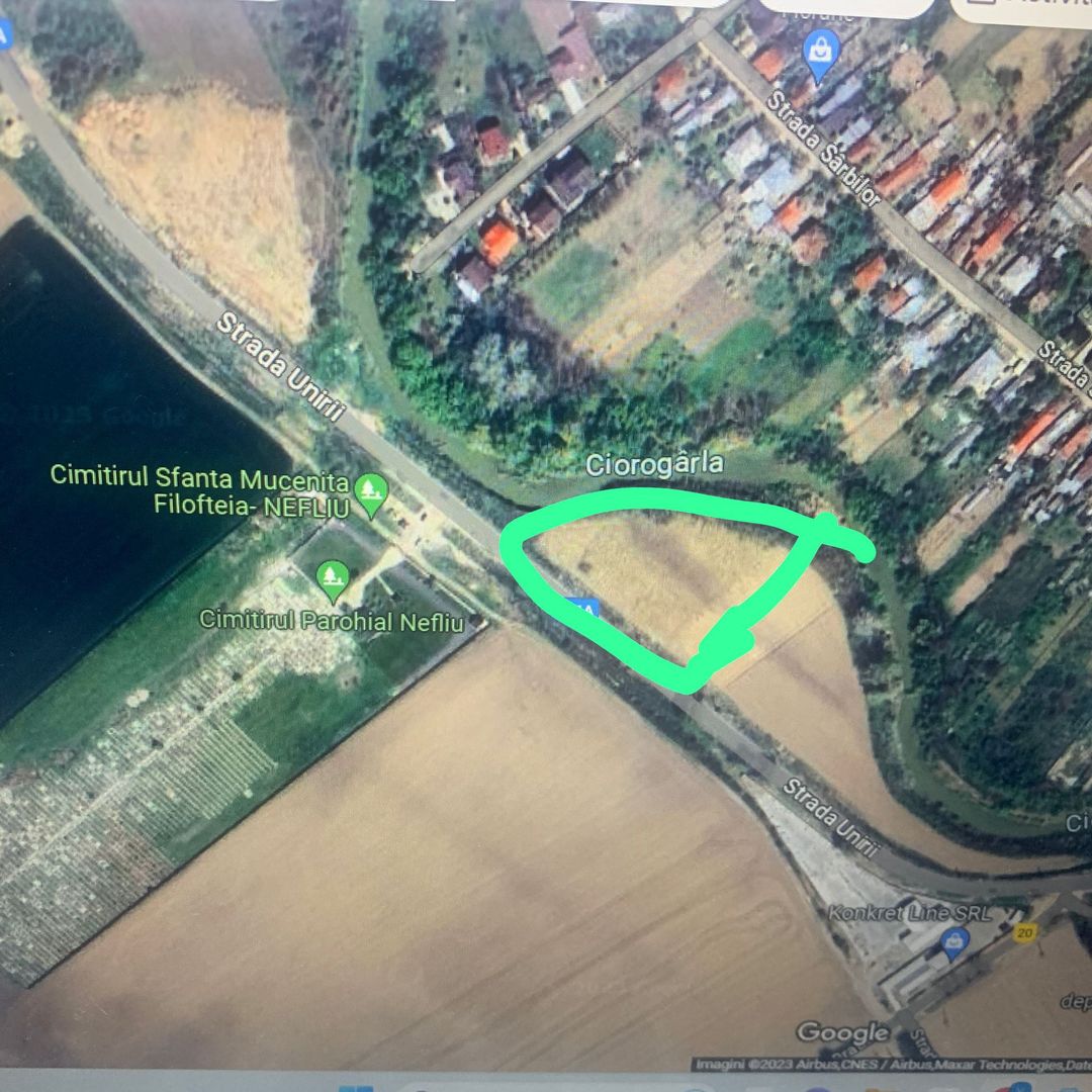 Teren intravilan situat in Magurele -Varteju 10.000 mp 35 euro - Poză 3