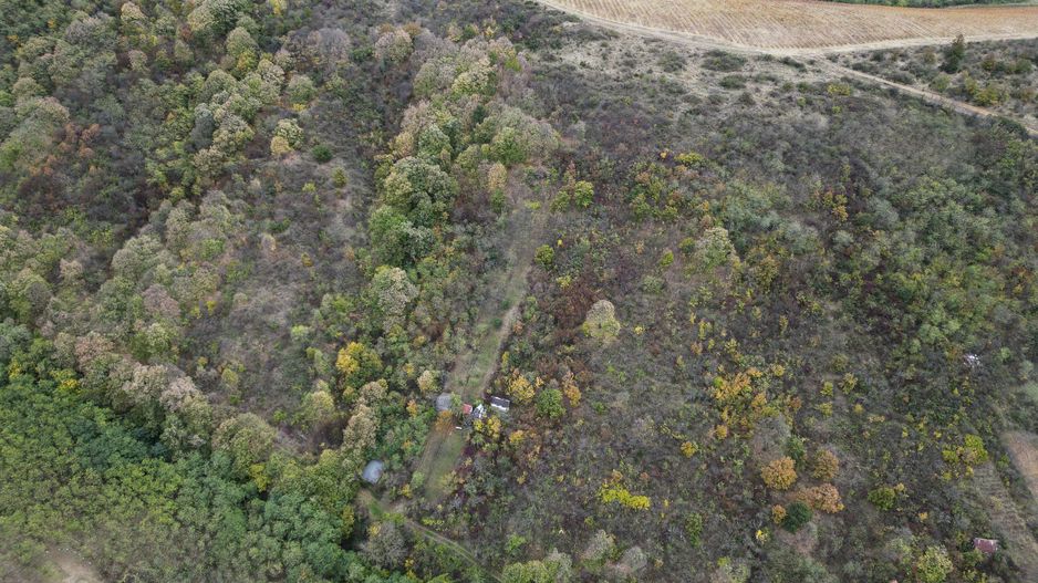 Teren 18,300mp Ghioroc - Poză 19