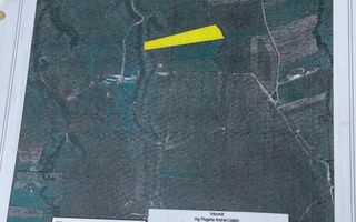 Oportunitate Investitie | Panicel - Rasnov | Extravilan | 29.300mp - Poză 6