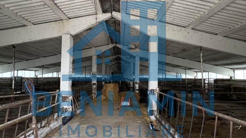 60.000mp Ferma de bovine, păsări, porcine, culturi agricole Diverse - Poză 3