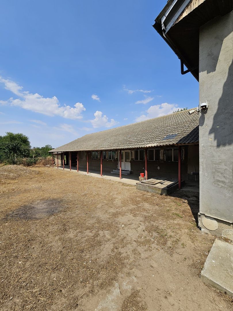 Casa Apele Vii - Poză 4