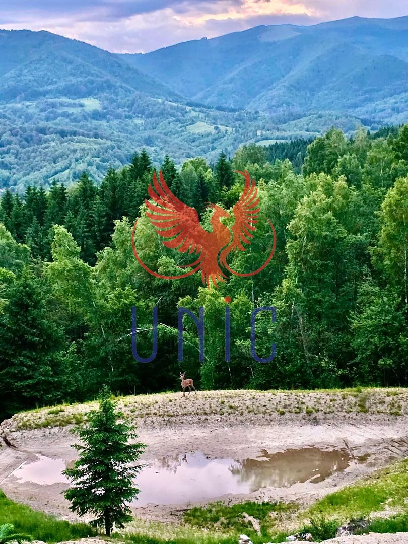 18000 mp de natura pura ,Lupeni, langa Straja - Poză 9