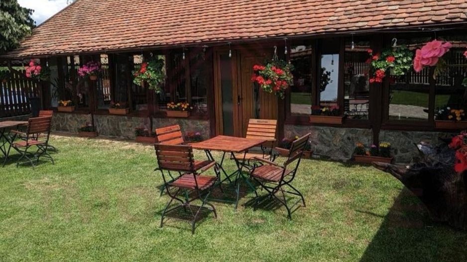 RESTAURANT DE VÂNZARE-COM. OBREJA\SAT IAZ\CARAȘ SEVERIN - Poză 7