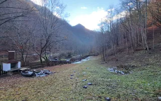 Paradis I Casa de lemn I Transalpina I Sugag - Poză 29