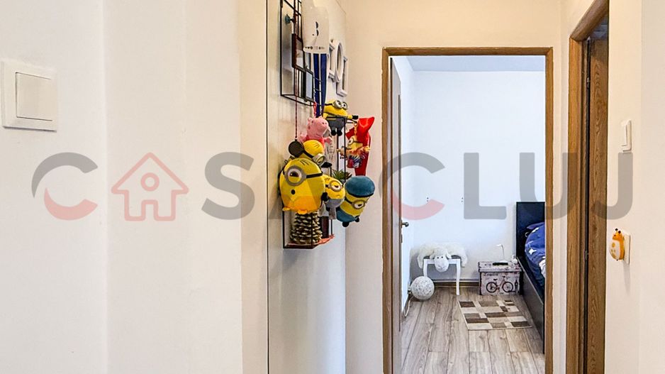 2 camere cu vedere spre Somes, Grigorescu - Poză 4