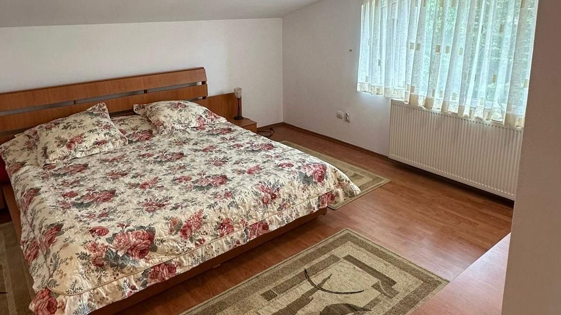 Vila I Iancu Nicolae I Gradina zoologica - Poză 6