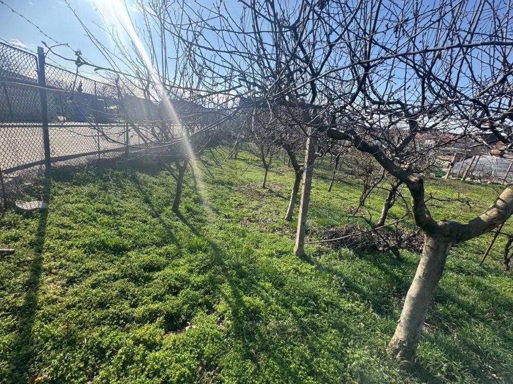 Teren intravilan de vanzare in Barabant - Poză 2