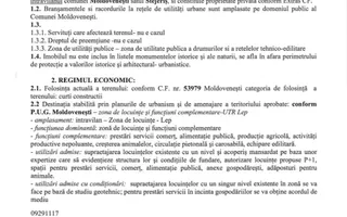 Teren de vis în Stejeriș – utilități, natură, acces rapid! - Poză 13