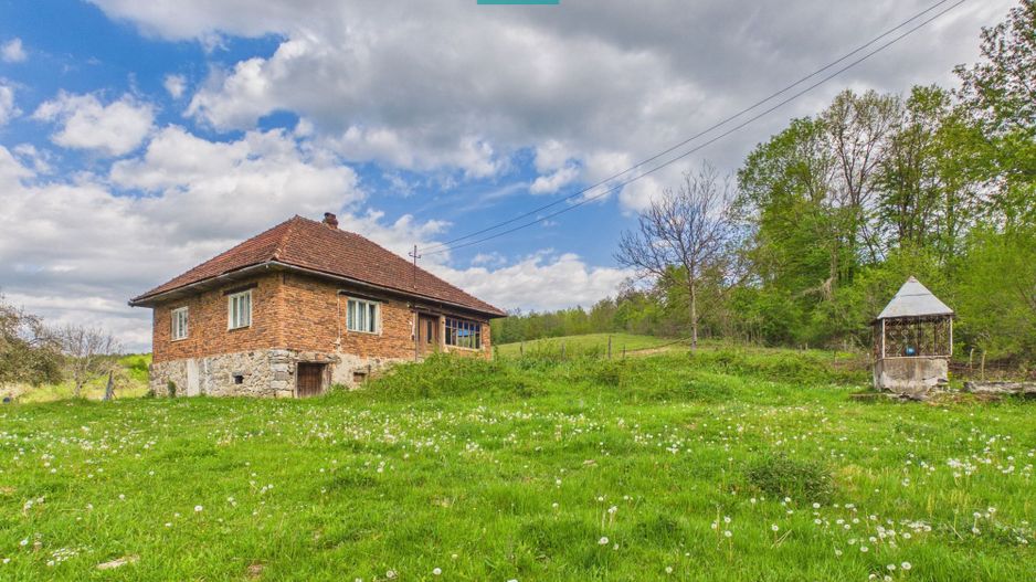 Casă cu teren de 17.681 mp, în loc. Hălmăgel, Arad - Poză 4