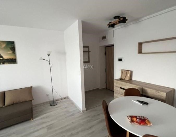 Apartament 2 camere in Complex Hills - Theodor Pallady - Poză 4