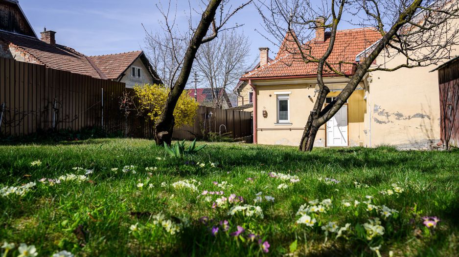 CASA GRUIA Zona BELVEDERE Teren 400MP - Poză 3