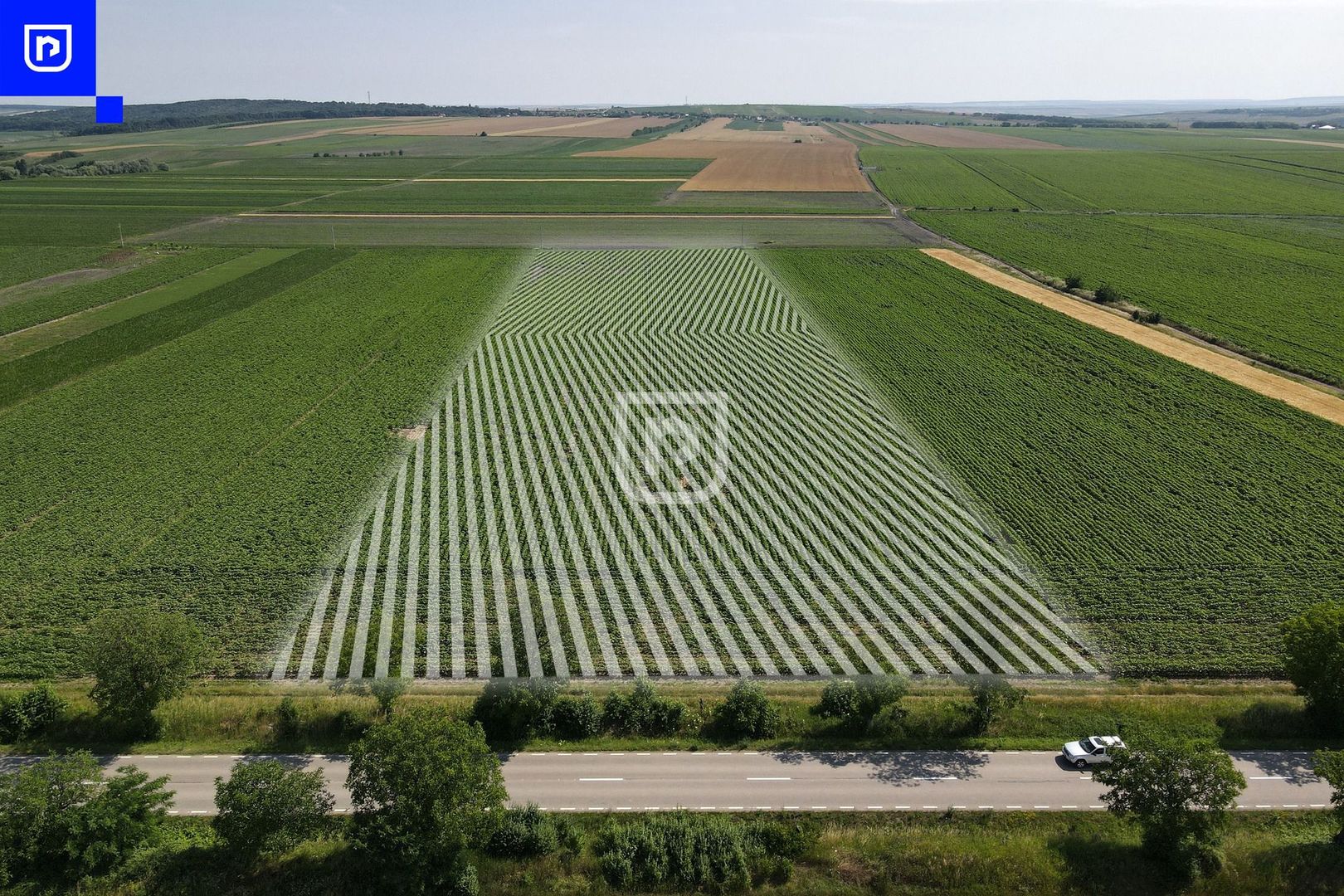 Teren - Orășeni Deal, Curtești | BOTOȘANI | 10.000mp - Poză 8