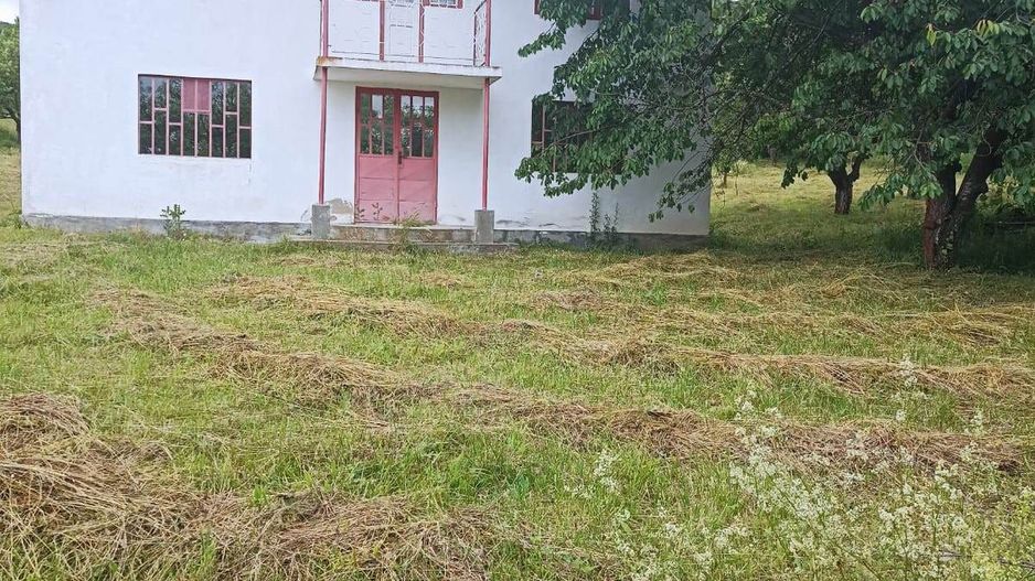 Tren si casa de vacanta in Panticeu - Poză 3