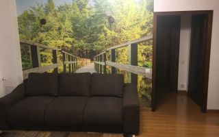 Apartament 2 camere de inchiriat Stefan cel Mare - Poză 3