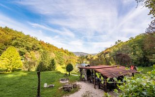 Domeniu în satul Căprioara - Poză 10