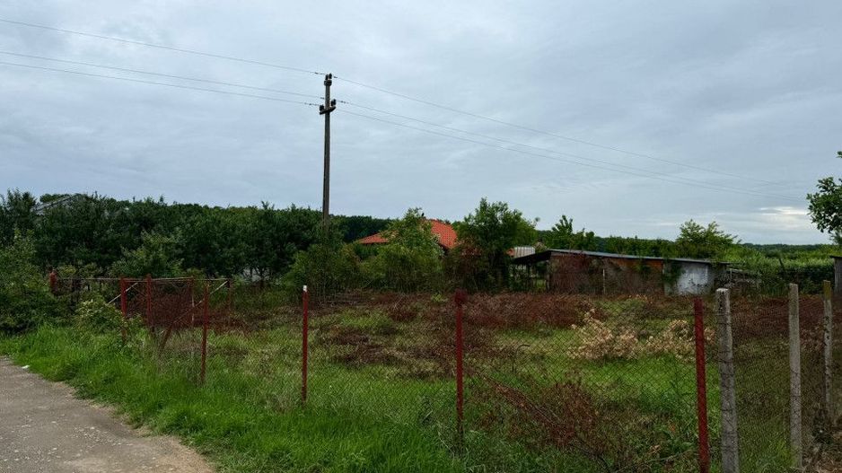 Teren Intravilan Padurea Noroieni - Poză 4