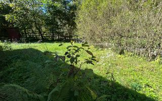 Cabana de vanzare, Valea Manastirii - Ramet - Poză 9