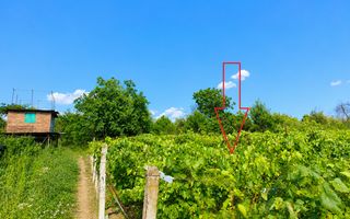 Lot pomiol în Sângera | Î.P. „Roadă Bună” | Zonă Locuită - Poză 7