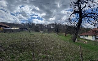TEREN INTRAVILAN 4365 MP POENARII DE MUȘCEL  JUDEȚUL ARGES - Poză 7