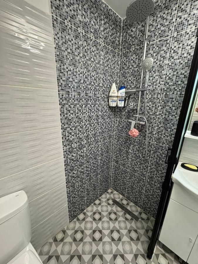 Apartament confortabil cu doua camere, Cismigiu- Casa Radio - Poză 9