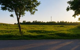 Vânzare teren intravilan – 9.500 mp, DN26 -Padurea Garboavele, Tulucesti - Poză 2