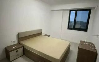 Apartament 2 camere Novum Timisoara 56 - Poză 3