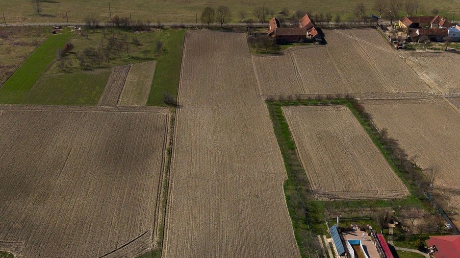 Loc de casă în Odvoș - Conop 3000mp - Poză 26