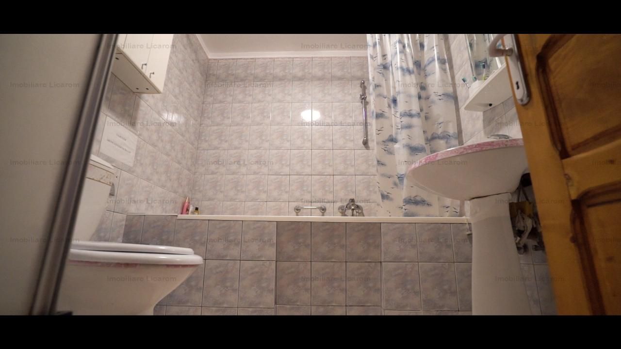 Oferta Conac boieresc P+M,teren 20400 mp - Poză 16